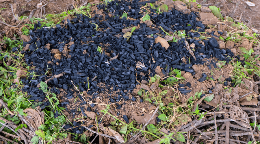 Pflanzenkohle: Nachhaltige Bodenverbesserung und CO2-Speicherung - SHW-FIRE