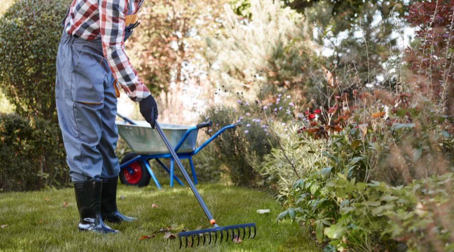 Du verwendest einen Rechen oder Laubbesen, um das Herbstlaub von deinem Gartenweg zu entfernen.