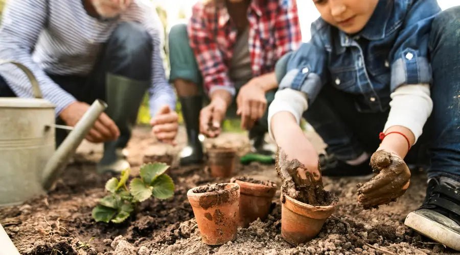 Rückblick 2023: Die Top 9 Gartenhelfer von SHW-FIRE, die Deinen Garten verzaubert haben - SHW-FIRE