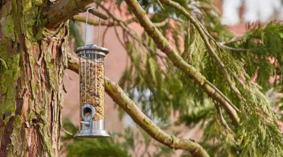 SHW-Vogelfuttersäule im Einsatz, gefüllt mit Sonnenblumenkernen, ideal für die Winterfütterung von heimischen Vögeln wie Meisen und Finken.