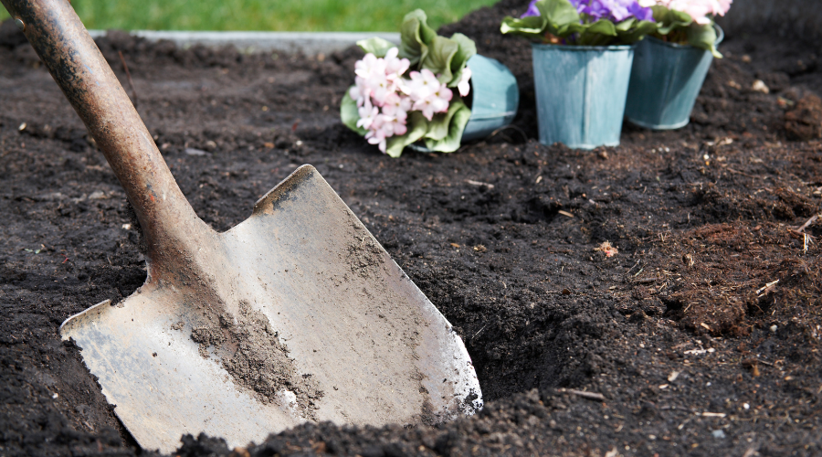 Vergleich von Spaten und Schaufel – Einsatzgebiete und Tipps für die Auswahl der richtigen Gartenwerkzeuge.