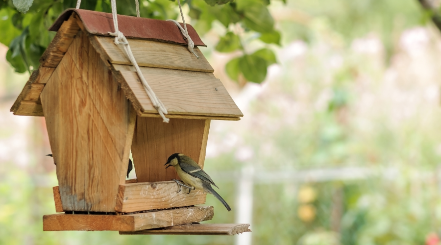 Vogelhaus und Vogelfuttersäule im Garten, umgeben von heimischen Vögeln.