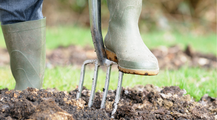 Wintervorbereitung im Garten: Pflanzen mit Mulch und Vlies vor Frost schützen, mit SHW-Gartengeräten für den optimalen Winterschutz ausgestattet.