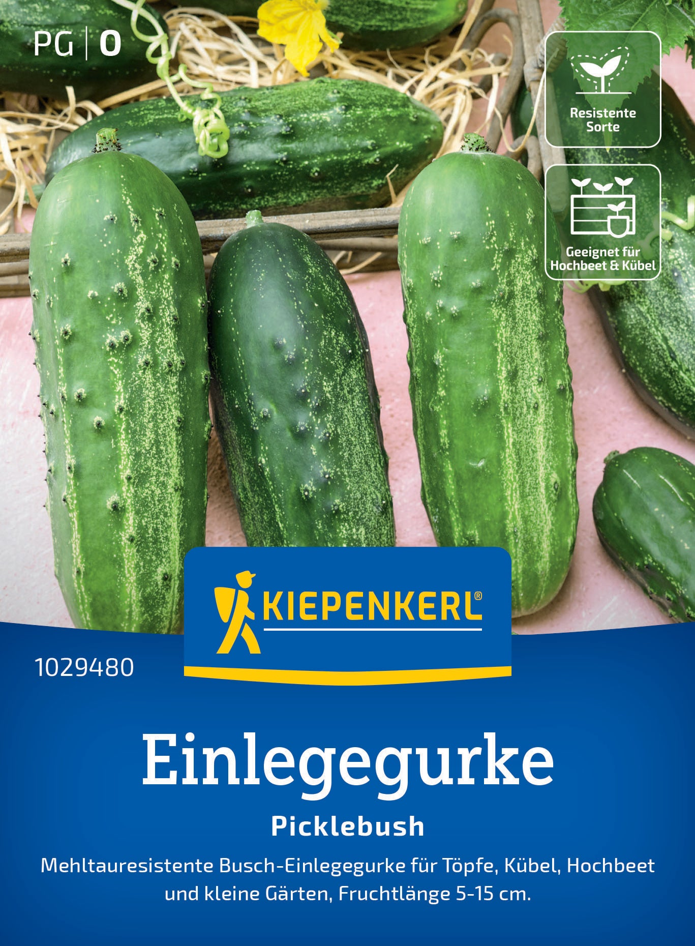Einlegegurkensamen Picklebush