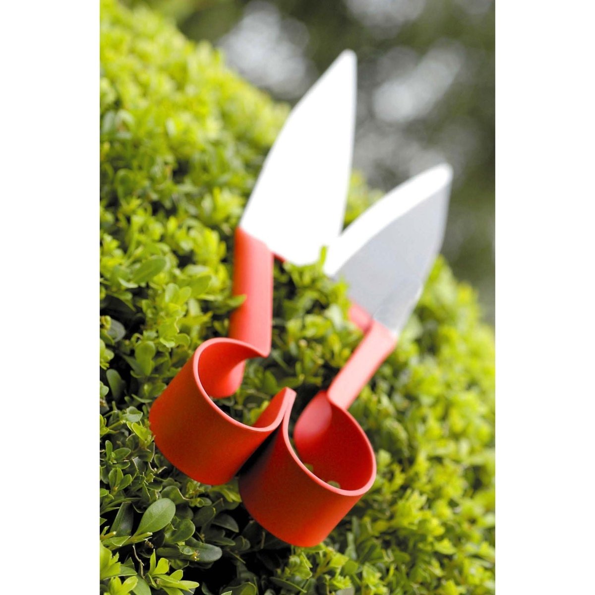 BERGER Buchsbaumschere Schneidenlänge: 14 cm - SHW - FIRE