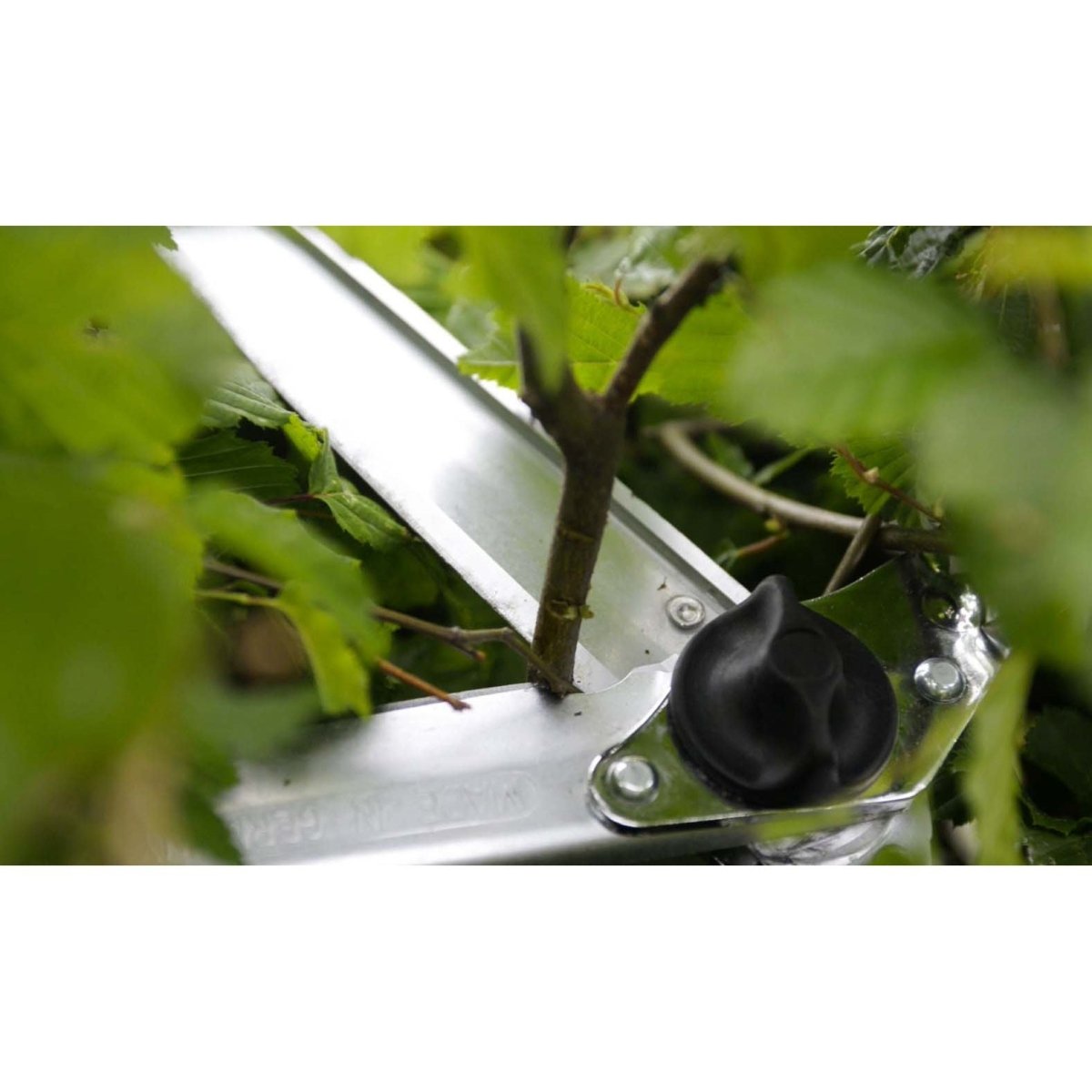 BERGER Heckenschere mit Holzstiel - SHW - FIRE