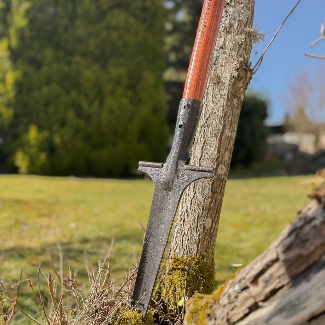SHW Unkrautstecher "Profi" mit Tritt und Eschen - T - Stiel - SHW - FIRE