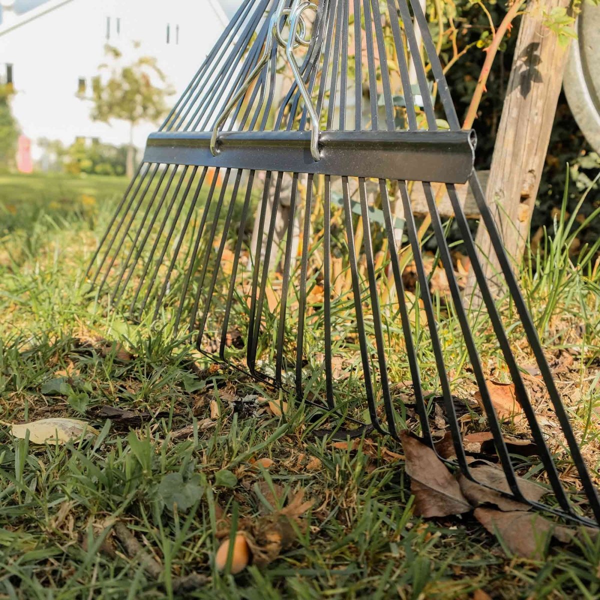 SHW Laubbesen "Professional"24 Federstahlzinken mit rotem Griff und Eschenstiel 135 cm - SHW - FIRE