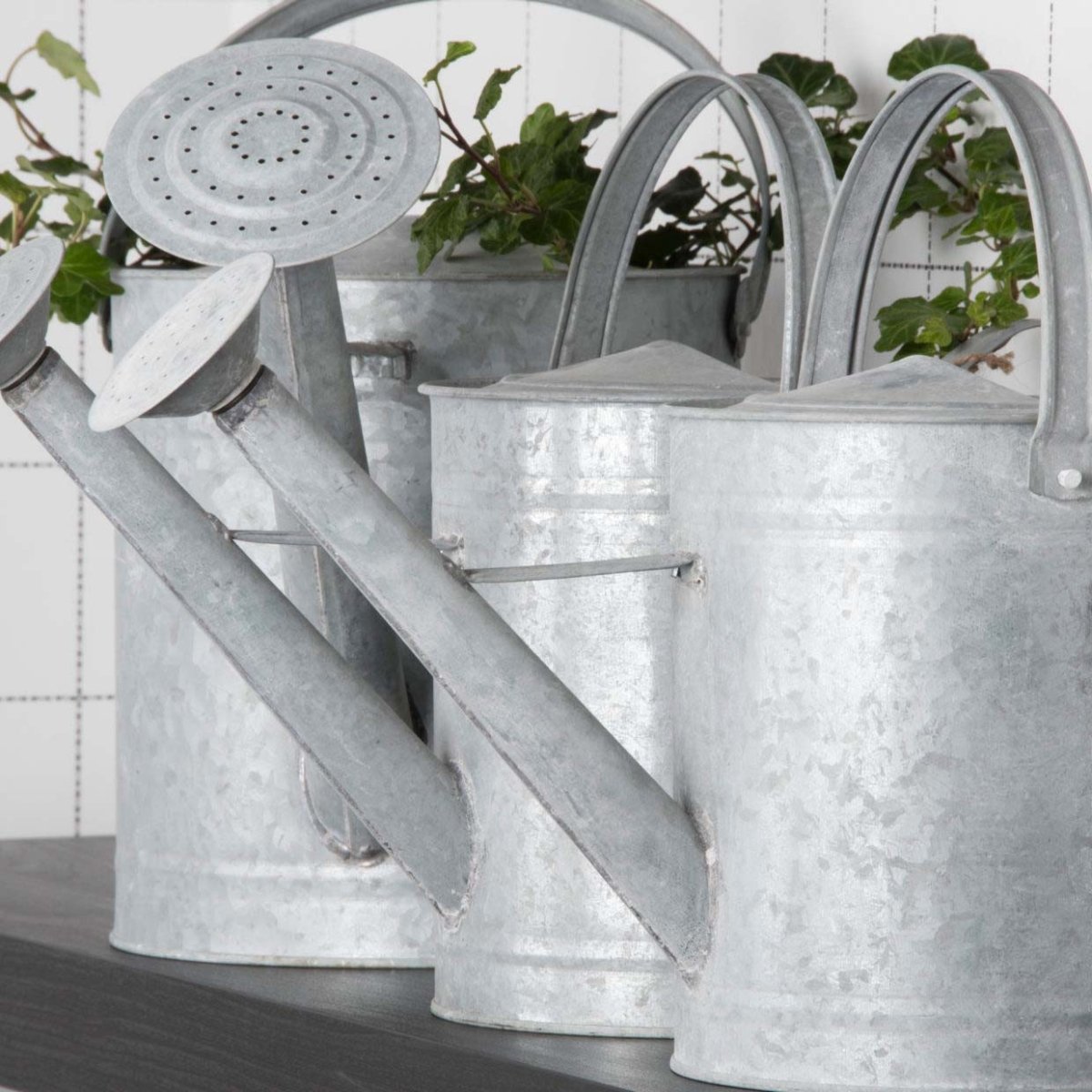 Altzink Gießkanne - SHW - FIRE