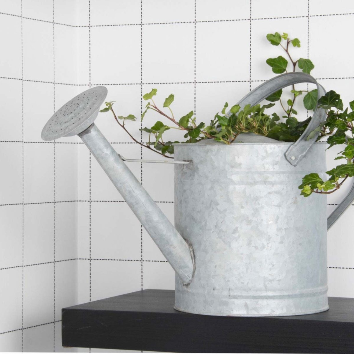 Altzink Gießkanne - SHW - FIRE