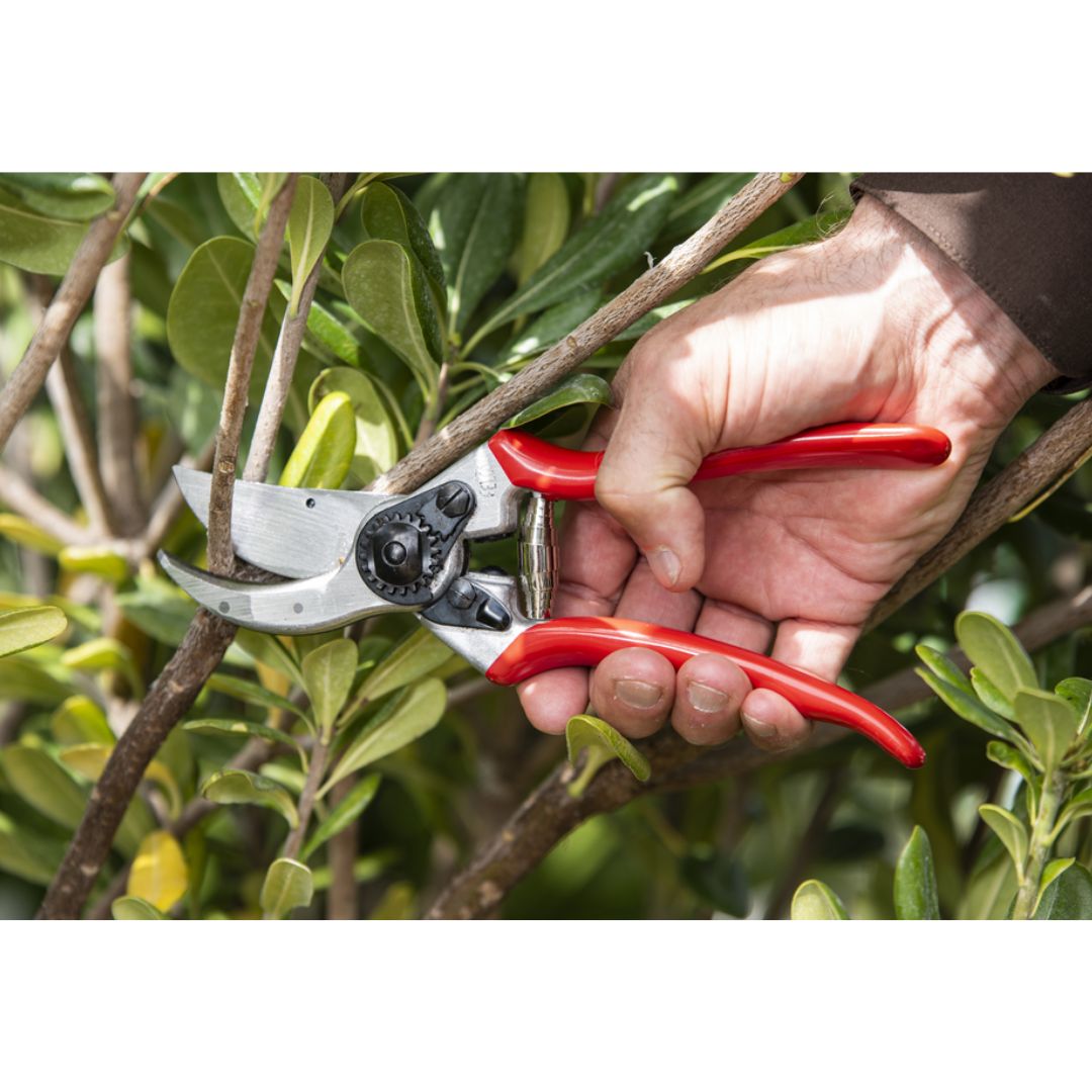 FELCO 2 Baum - , Reb - und Gartenschere max. Durchm. 25 mm - SHW - FIRE