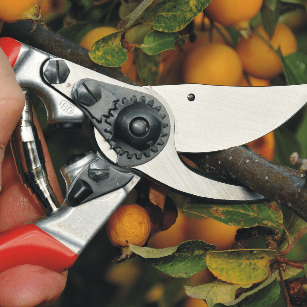 FELCO 9 Baum - , Reb - und Gartenschere max. Durchm. 25 mm - SHW - FIRE