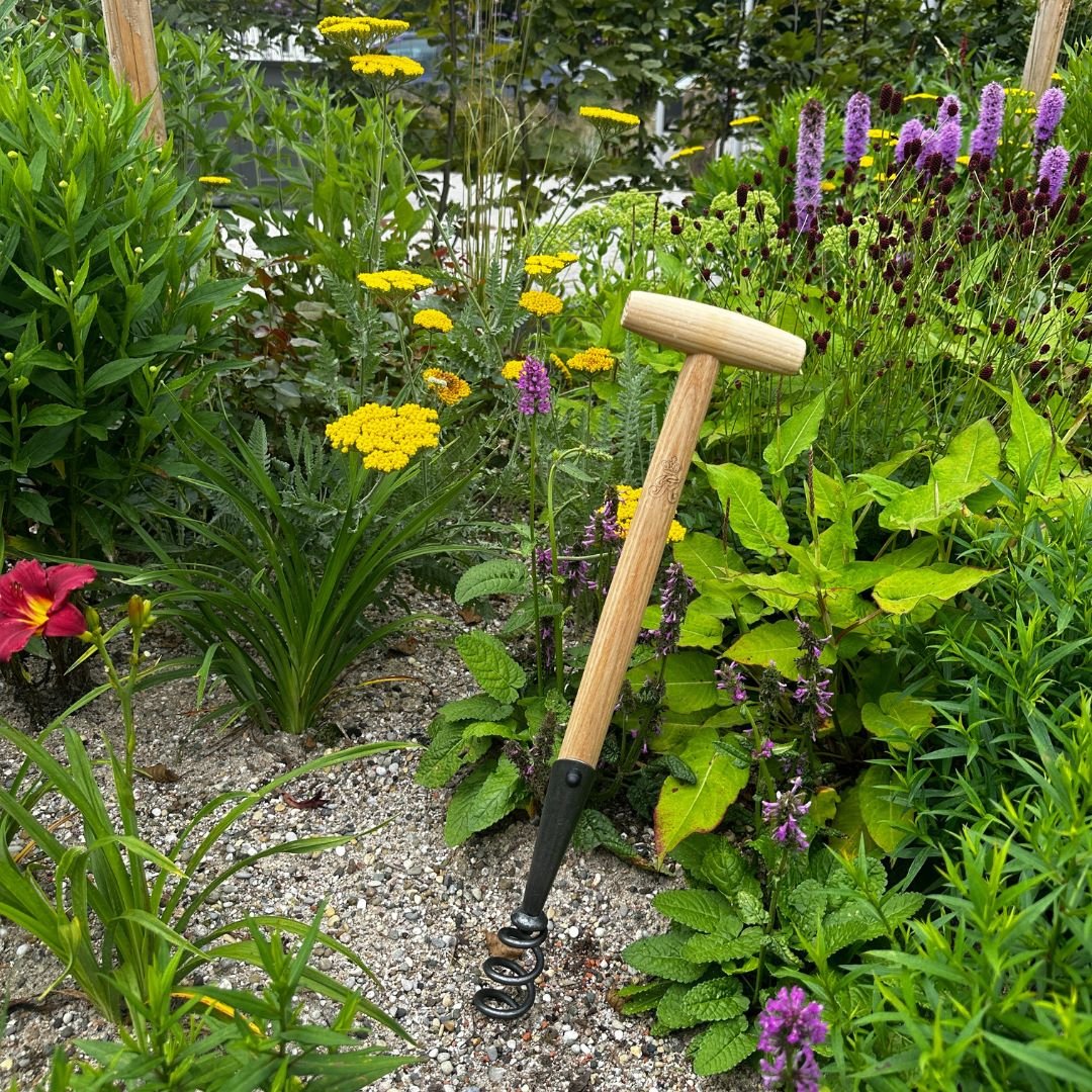 SHW Löwenzahnzieher mit Eschen - T - Stiel 40 cm - SHW - FIRE