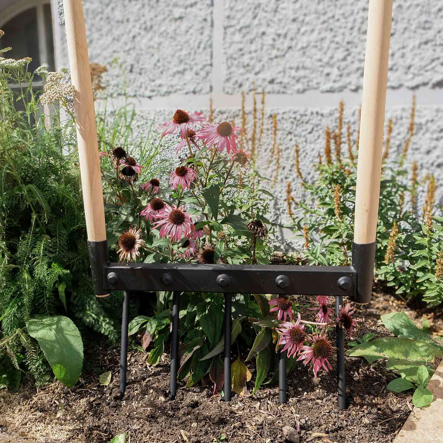 Doppelgabel mit Holzstielen im Blumenbeet zur Bodenlockerung platziert