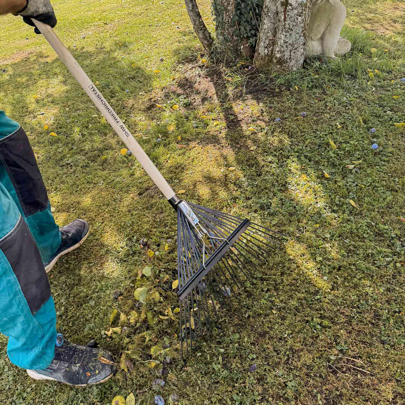Gärtner beim Zusammenharken von Laub mit einem stabilen Fächerbesen aus Stahl