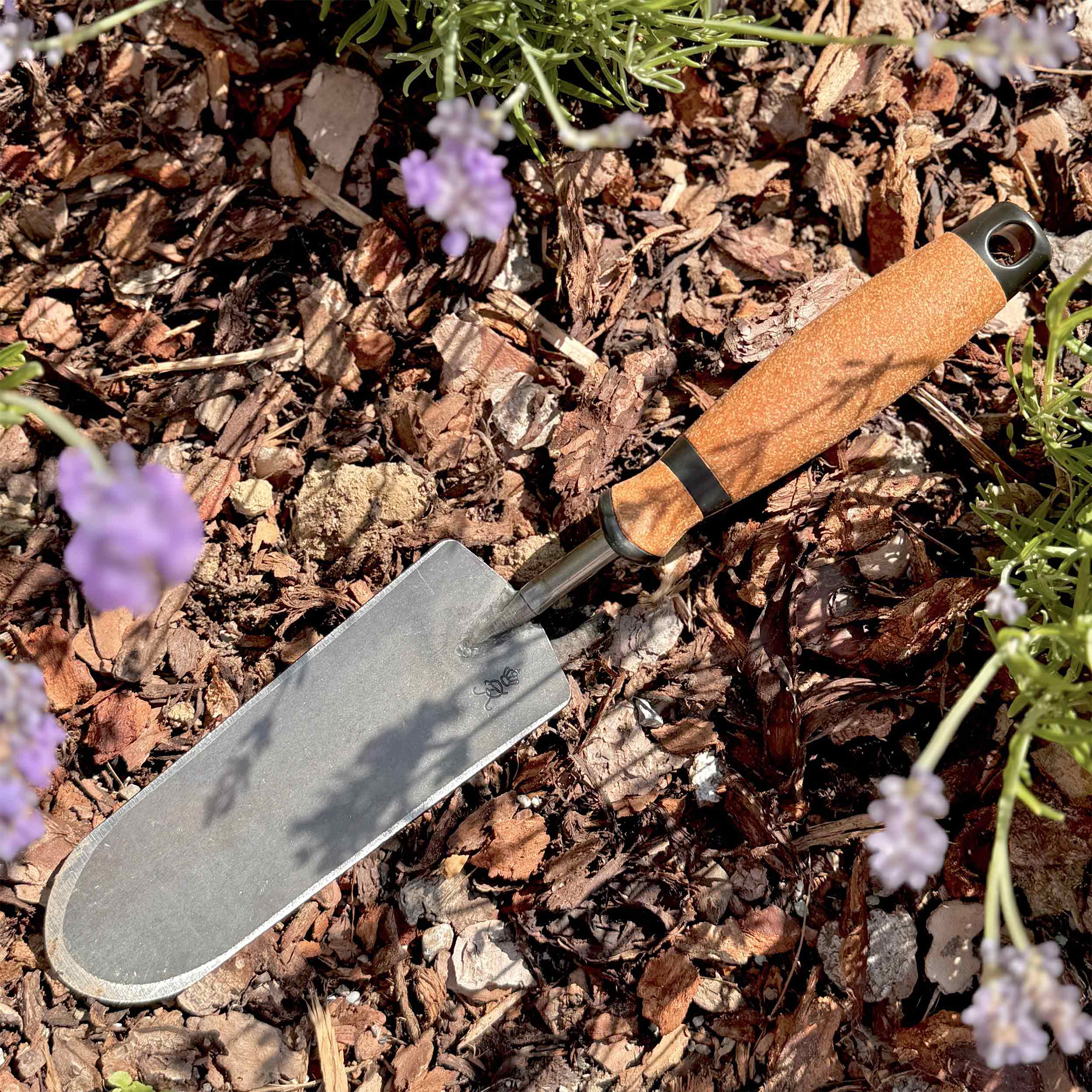 Lange Gartenschaufel mit Holzgriff zwischen Lavendel im Rindenmulch