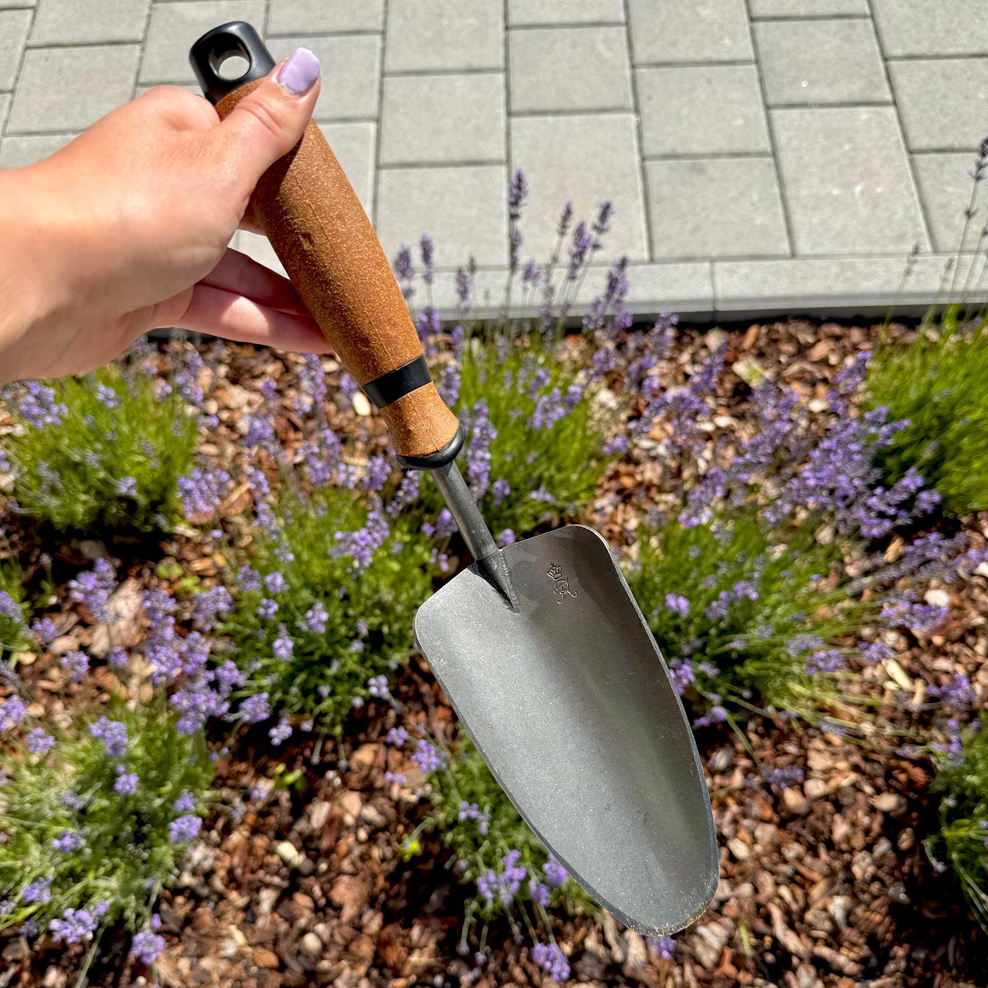 Hand hält Gartenschaufel mit Holzgriff über Lavendelbeet im Sonnenschein