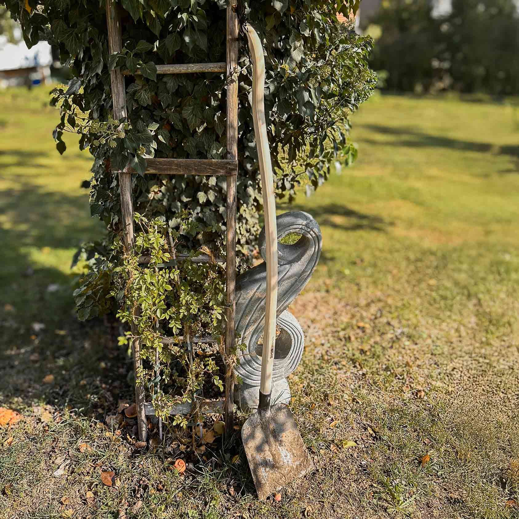 Robuster Gartenspaten mit ergonomischem Eschenholzstiel an Holzleiter im gepflegten Garten – SHW Qualitätswerkzeug für Gartenarbeit