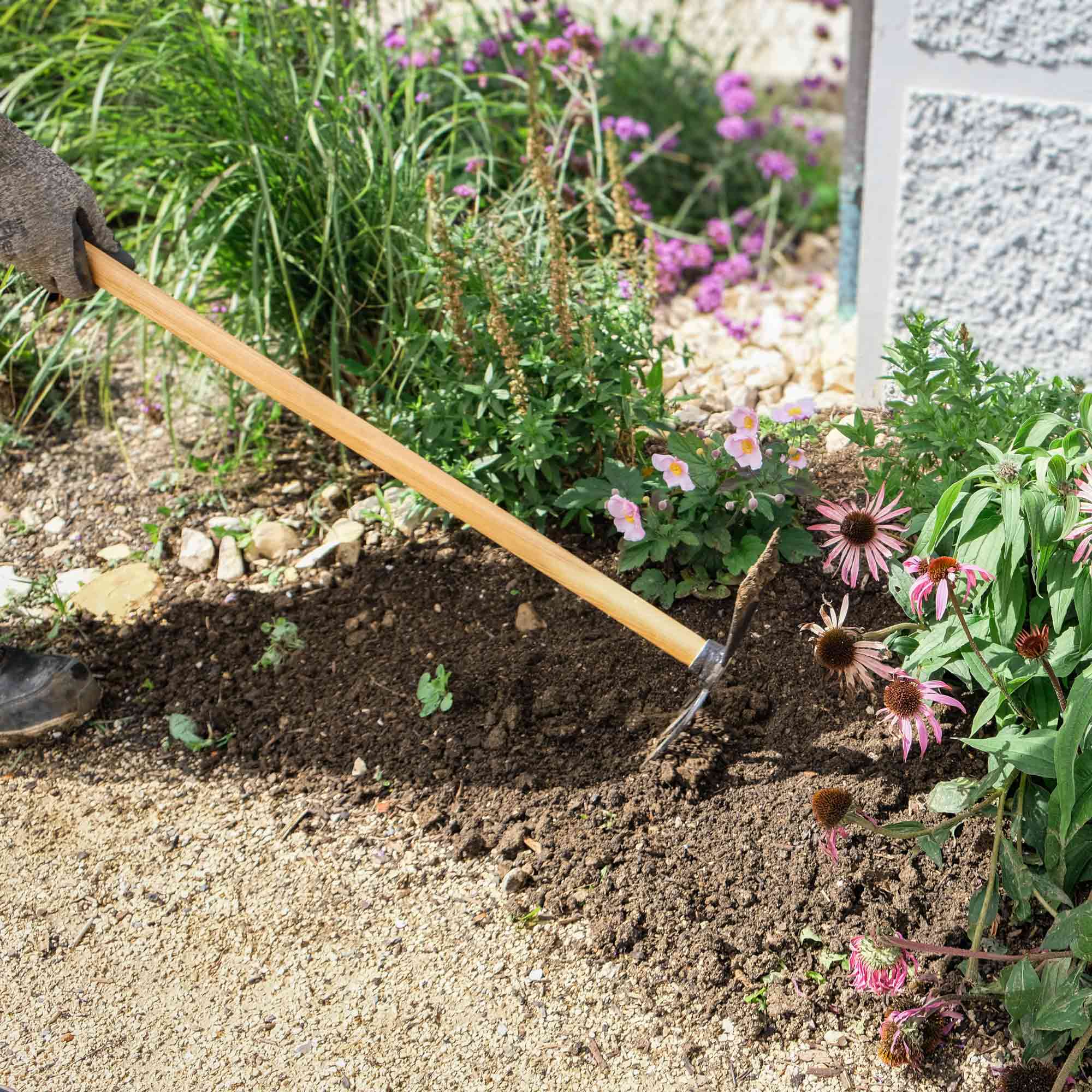 Gärtner lockert mit einer geschmiedeten Hacke und Holzstiel den Boden im Blumenbeet