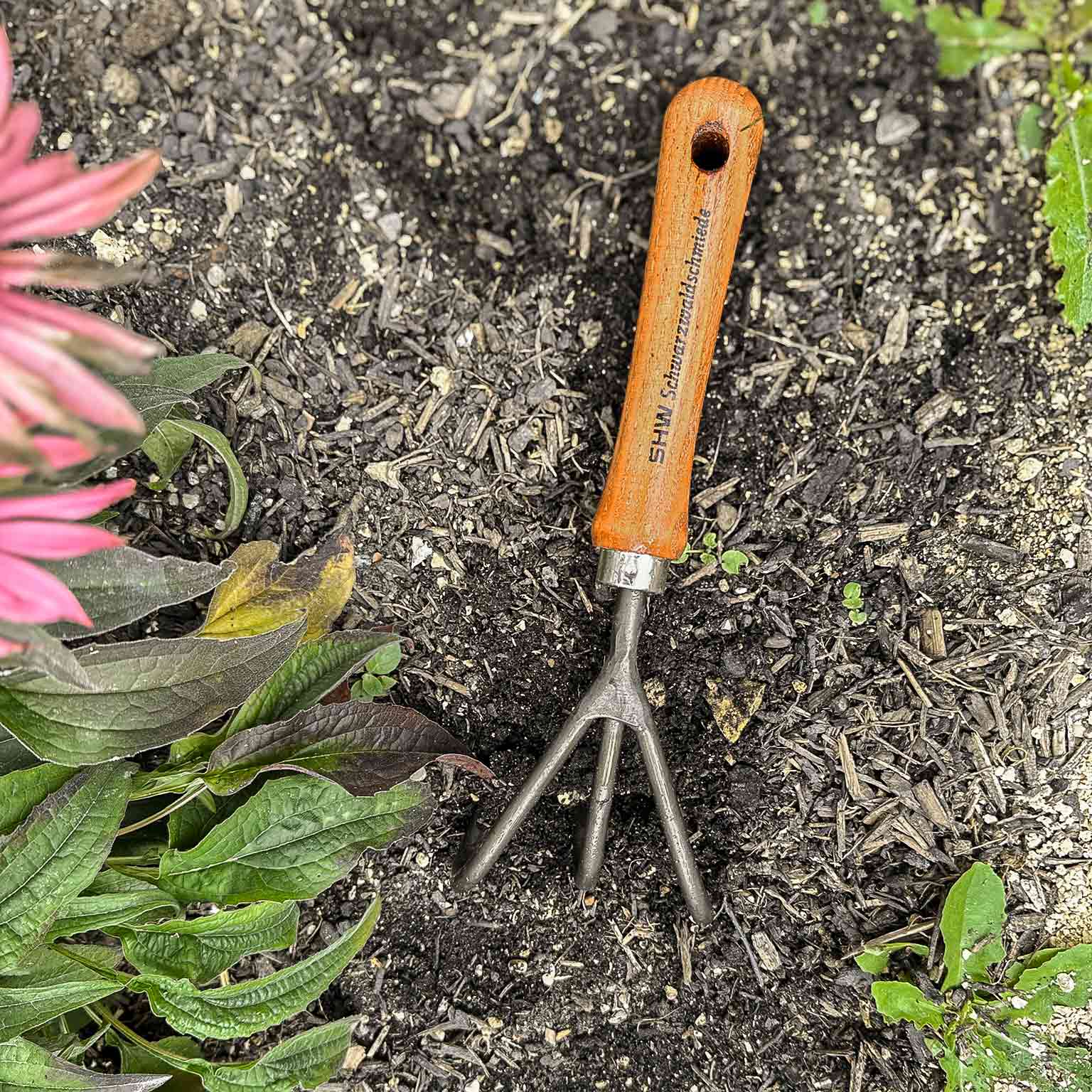 Handkralle mit Holzgriff von SHW Schwarzwaldschmiede liegt auf frischer Gartenerde neben Sonnenhutpflanzen
