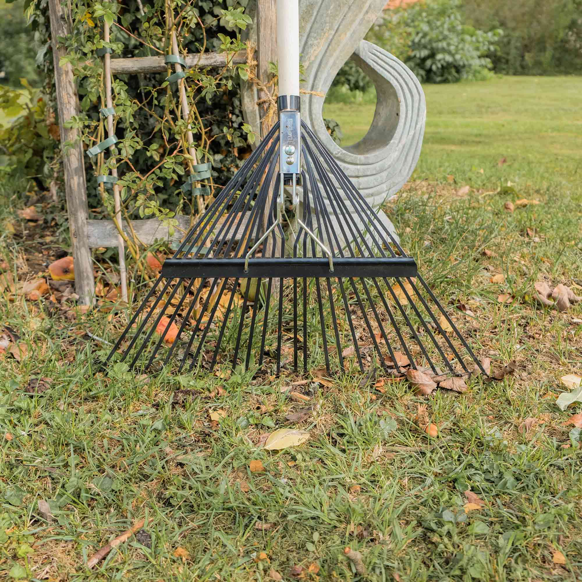 Laubrechen mit Holzstiel und breitem Federstahlkopf stehend im Garten auf Rasenfläche