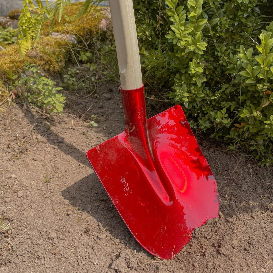 Nahaufnahme der roten SHW Frankfurter Aluminiumschaufel mit breitem Schaufelblatt und stabilem Holzstiel in lockerer Gartenerde neben einem grünen Strauch.