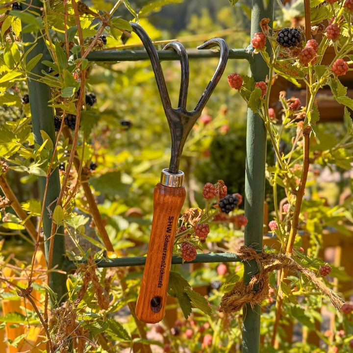 SHW Handgrubber mit drei gebogenen Stahlzinken und Holzgriff, aufgehängt an einem grünen Rankgitter zwischen Brombeerpflanzen. Kompaktes Gartenwerkzeug zum Auflockern der Gartenerde.