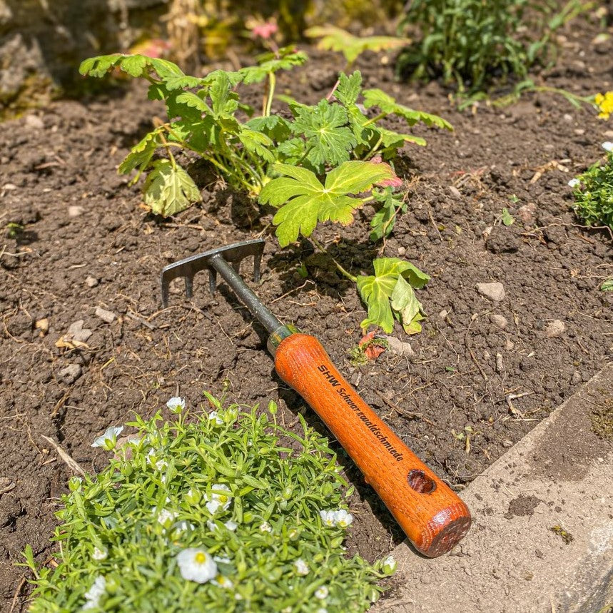 SHW Kleinrechen mit 5 Zinken und Holzgriff liegt auf lockerer Gartenerde zwischen Stauden und blühenden Pflanzen. Praktisches Handwerkzeug zur Bodenbearbeitung und Pflege kleiner Blumenbeete.