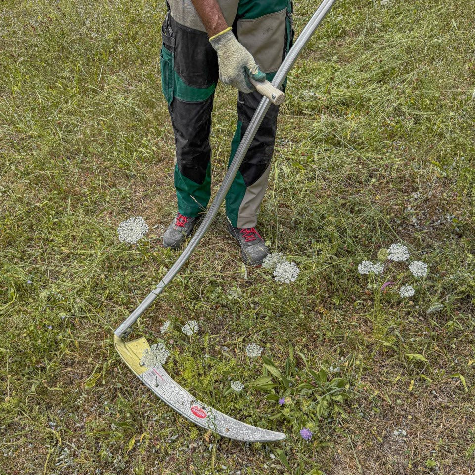 Gärtner mit SHW Sense Friedrichstal und ergonomisch gebogenem Stahlrohrworb beim Mähen einer naturbelassenen Blumenwiese. Handsense zum manuellen Schneiden von Gras und Wiesenpflanzen.