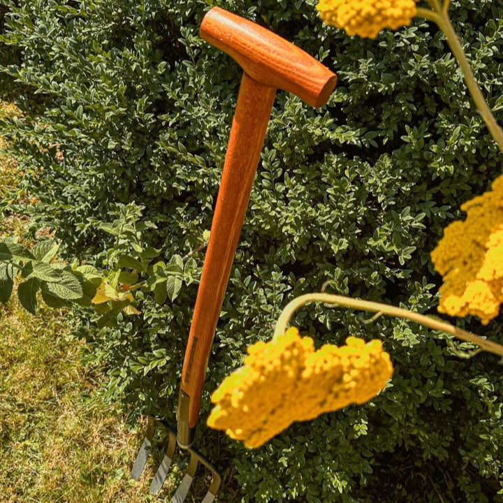 SHW Spatengabel mit T-Griff aus Holz, langem Stiel und vier robusten Stahlzinken vor einer grünen Hecke mit gelben Blüten. Gartenwerkzeug zum Lockern und Bearbeiten der Erde.