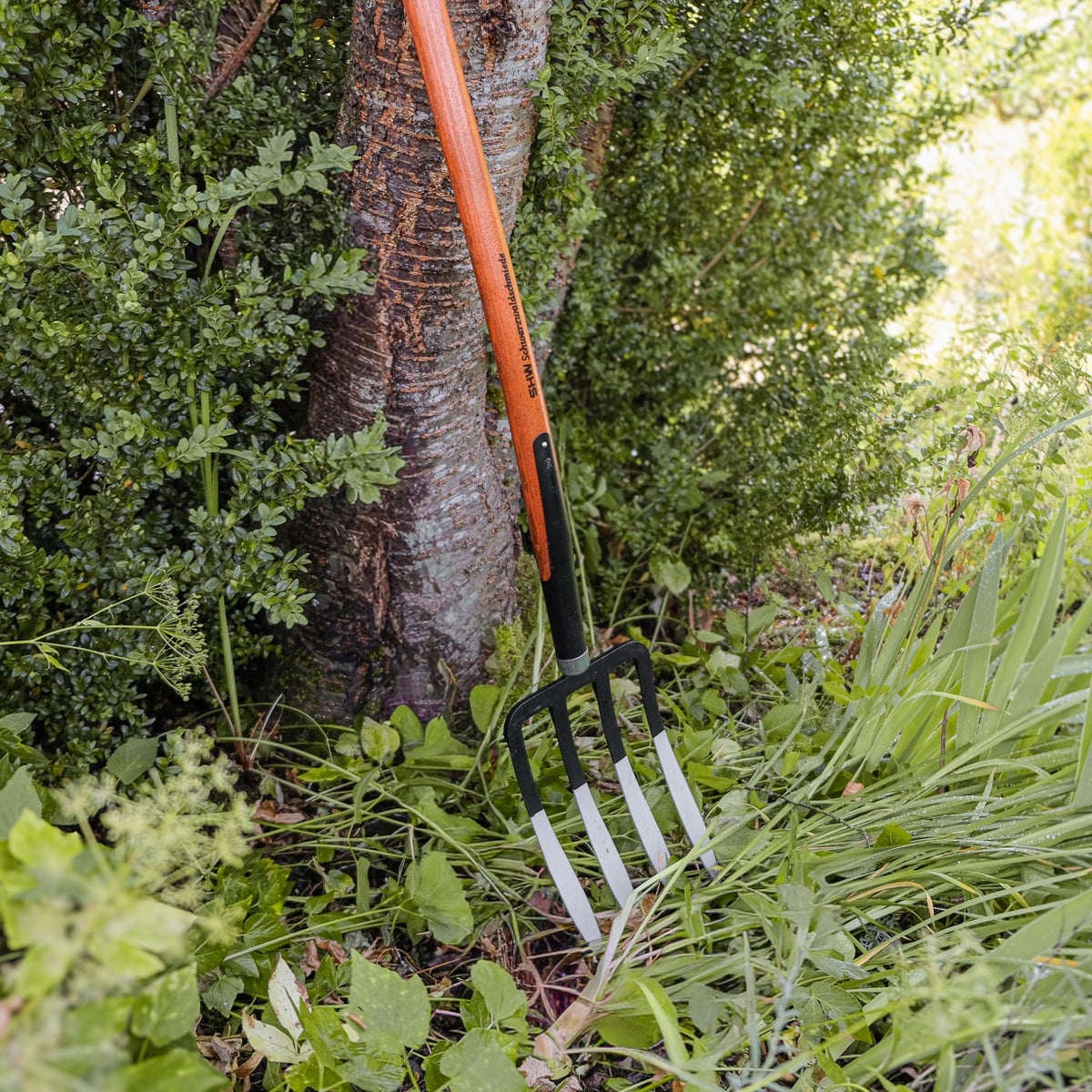 SHW Spatengabel mit vier spitzen Stahlzinken und langem Holzstiel, angelehnt an einen Baum zwischen grünen Gartenpflanzen. Grabegabel zur Bodenlockerung und Beetpflege. 